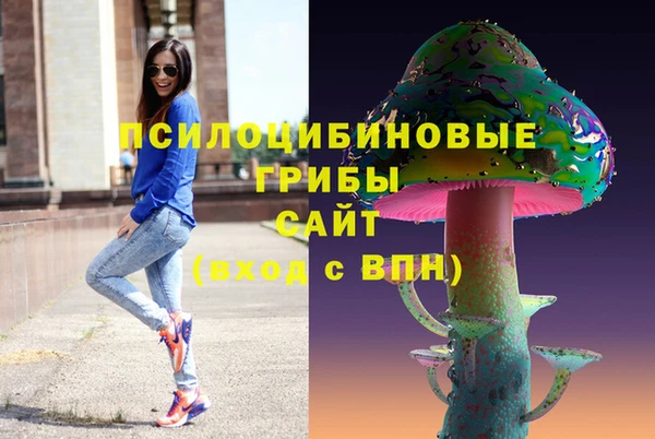 альфа пвп Алексеевка